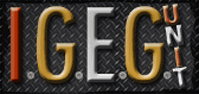 IGEG Unit Web Design Studio