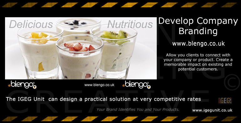 IGEG Unit Web Design & Development Studio, London, UK